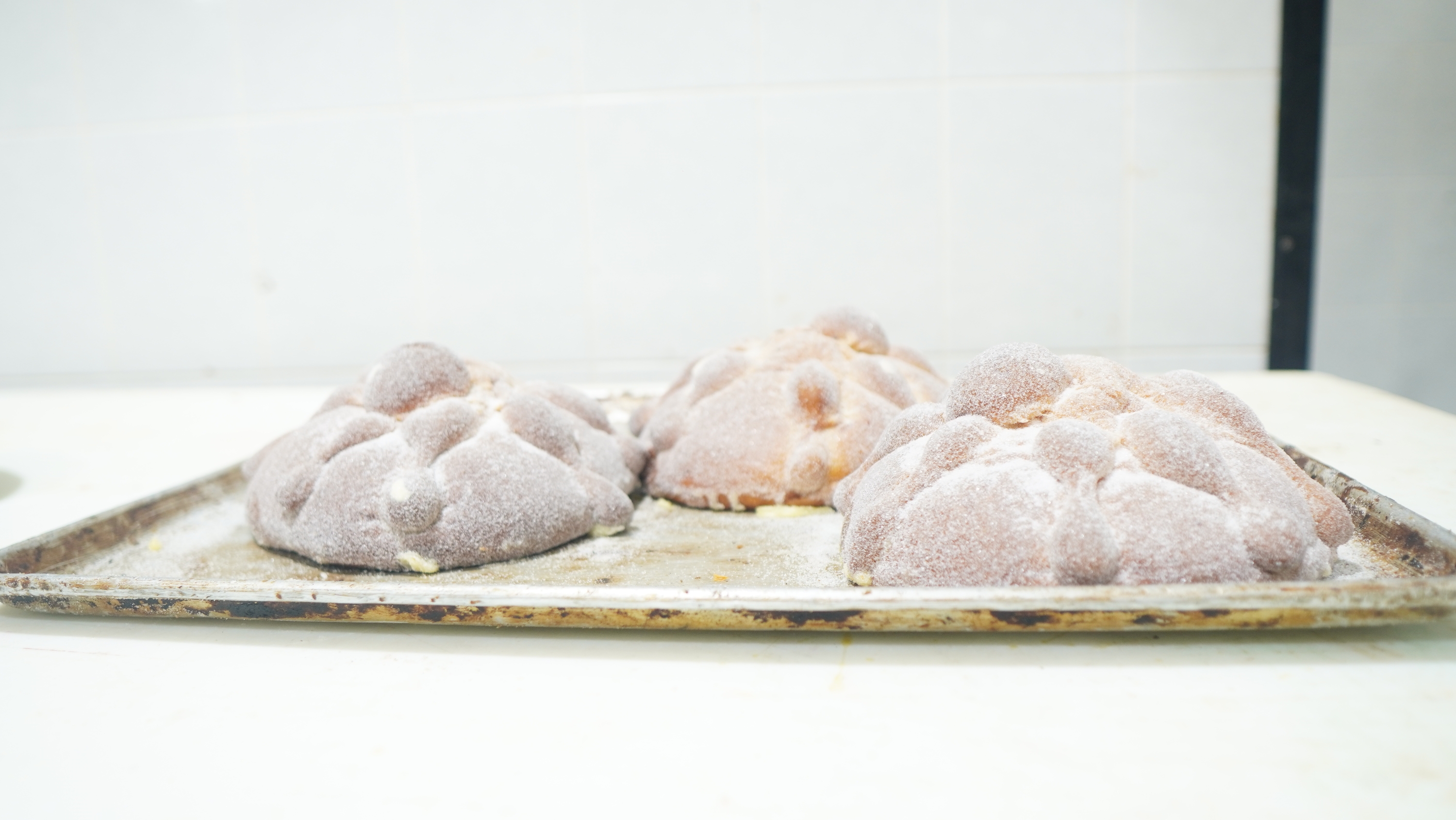 Pan de muerto tradicional de Vasconia, la panadería más antigua de Ciudad de México, elaborada con la receta original. DTP