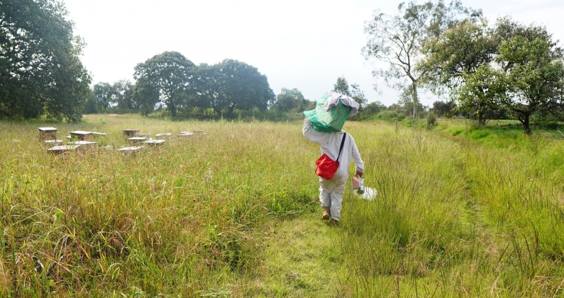 Traslado hacia el apiario donde se reubican las colmenas rescatadas. DTP