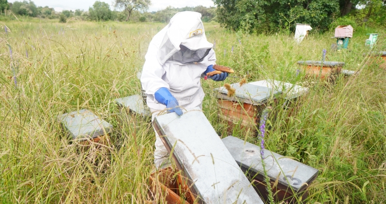 Adriana destaca que la apicultura tiene un impacto ambiental mínimo. DTP