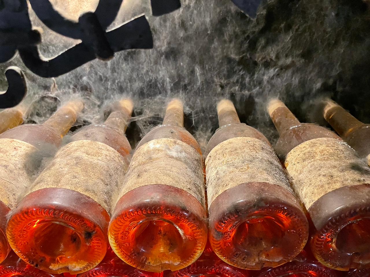 Botellas en crianza en las bodegas de TokaI, donde la alta humedad favorece una maduración lenta y prolongada. JB