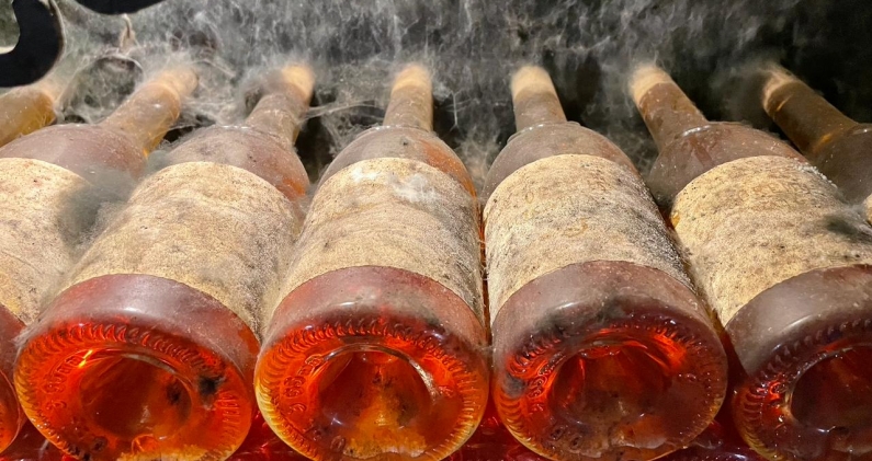 Botellas en crianza en las bodegas de TokaI, donde la alta humedad favorece una maduración lenta y prolongada. JB