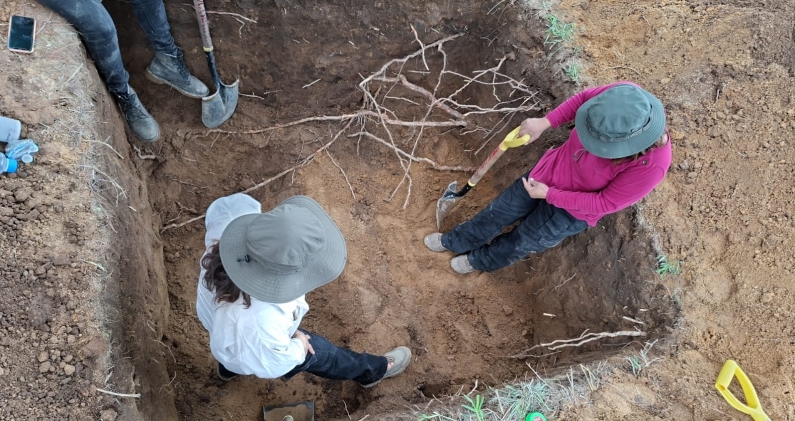 Excavación de una fosa durante las pruebas experimentales del equipo forense en Jalisco. CEDIDA