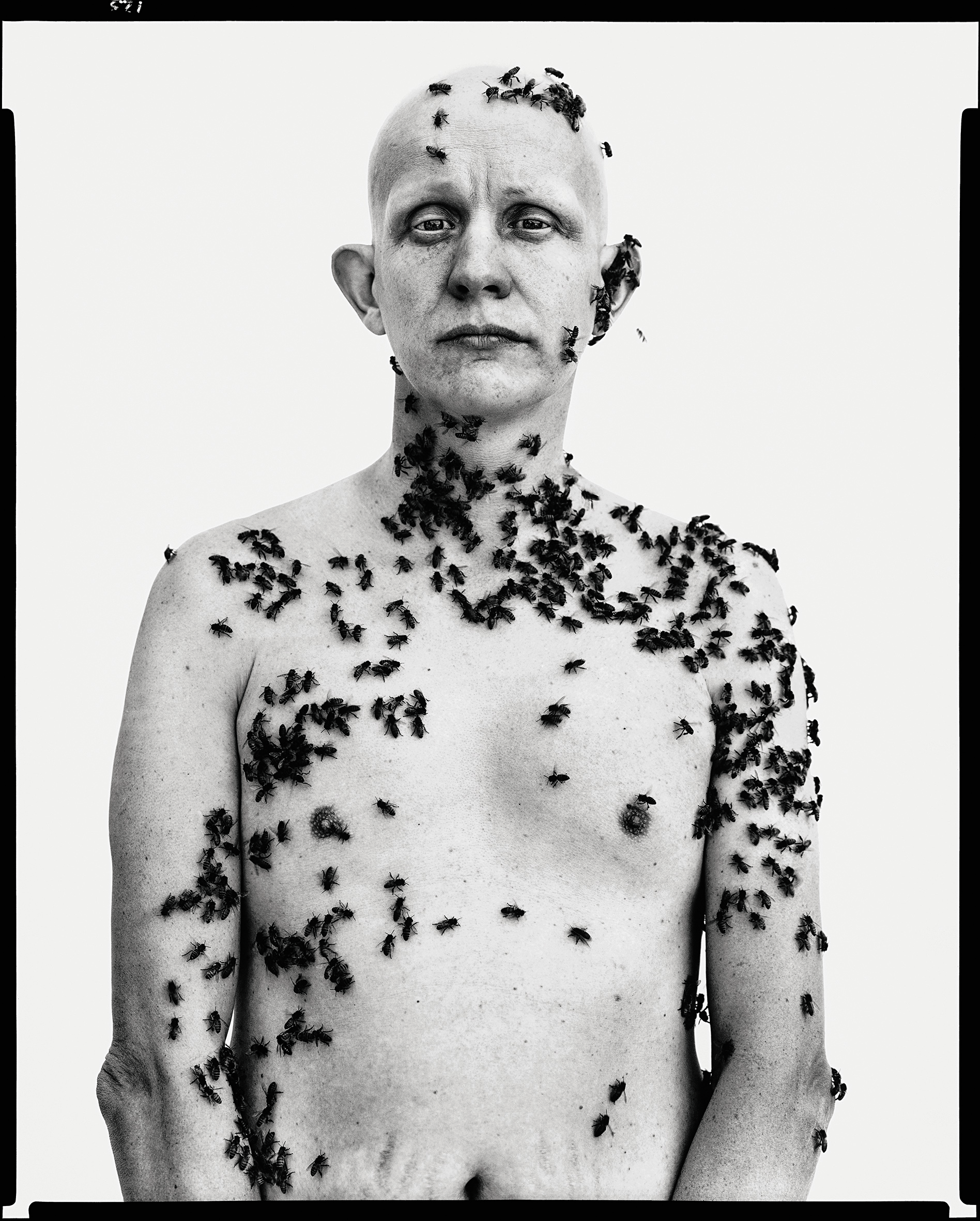Ronald Fischer, beekeeper, Davis, California, May 9, 1981. RICHARD AVEDON Ronald Fischer, beekeeper, Davis, California, May 9, 1981. RICHARD AVEDON