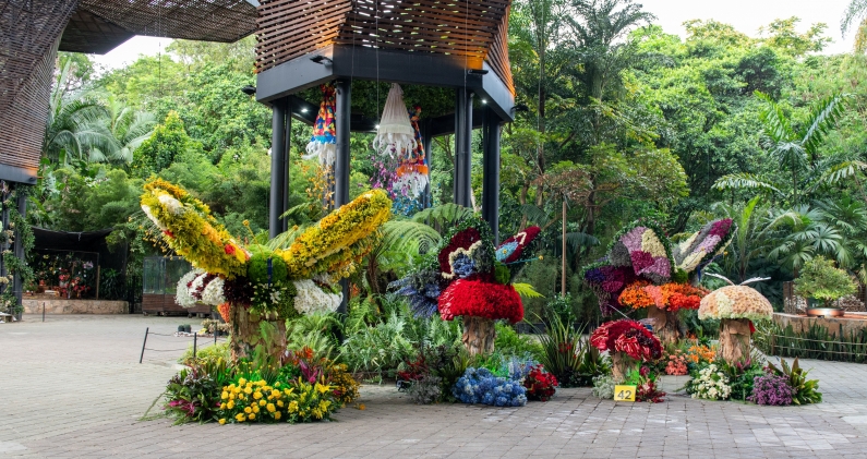 El Jardín Botánico combina la exposición especializada con grandes montajes florales abiertos al público. CORTESÍA El Jardín Botánico combina la exposición especializada con grandes montajes florales abiertos al público. CORTESÍA