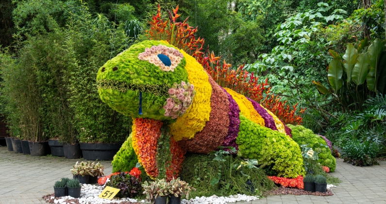 El Jardín Botánico combina la exposición especializada con grandes montajes florales abiertos al público. CORTESÍA El Jardín Botánico combina la exposición especializada con grandes montajes florales abiertos al público. CORTESÍA