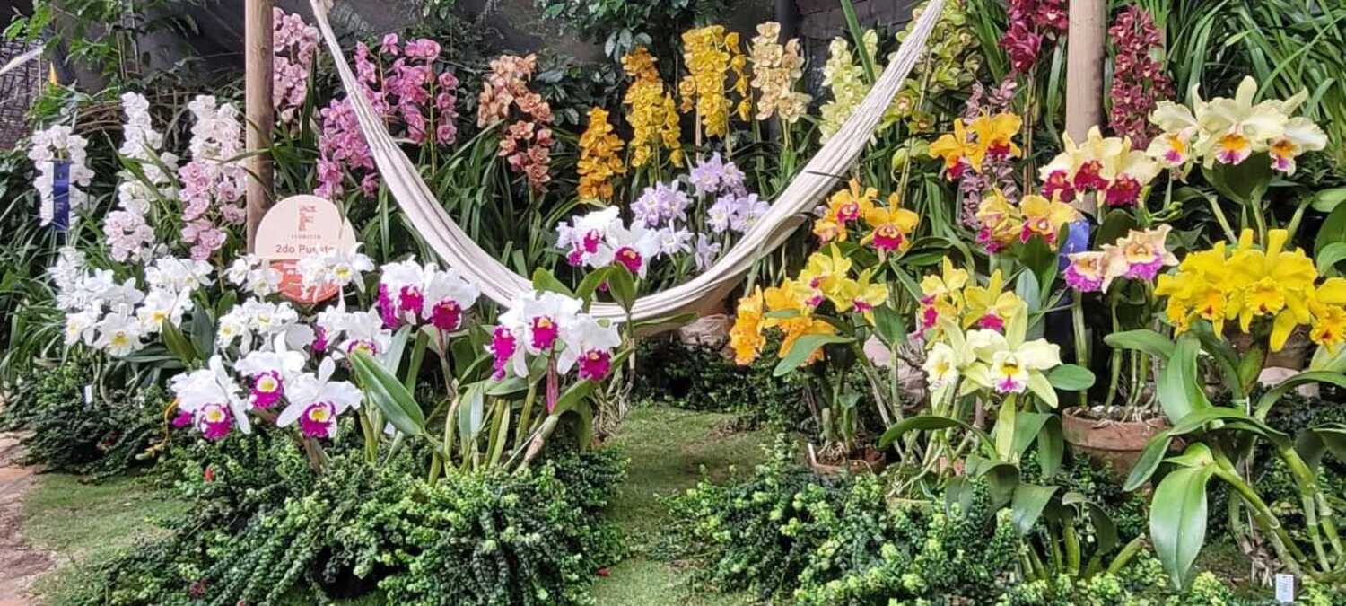 Más de 3.000 ejemplares florecidos se exhiben durante Florecer, en el Jardín Botánico de Medellín. CORTESÍA