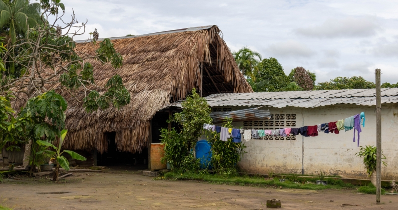 Una vivienda moderna ampliada mediante técnicas tradicionales en la comunidad Uwottüja (Piaroa) de Caño Mure. RICARDO AVELLA Una vivienda moderna ampliada mediante técnicas tradicionales en la comunidad Uwottüja (Piaroa) de Caño Mure. RICARDO AVELLA