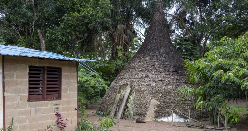 Una vivienda uwottüja (piaroa) en Alto Carinagua, en las afueras de Puerto Ayacucho, junto a una estructura diseñada por la División de Vivienda Rural. RICARDO AVELLA Una vivienda uwottüja (piaroa) en Alto Carinagua, en las afueras de Puerto Ayacucho, junto a una estructura diseñada por la División de Vivienda Rural. RICARDO AVELLA