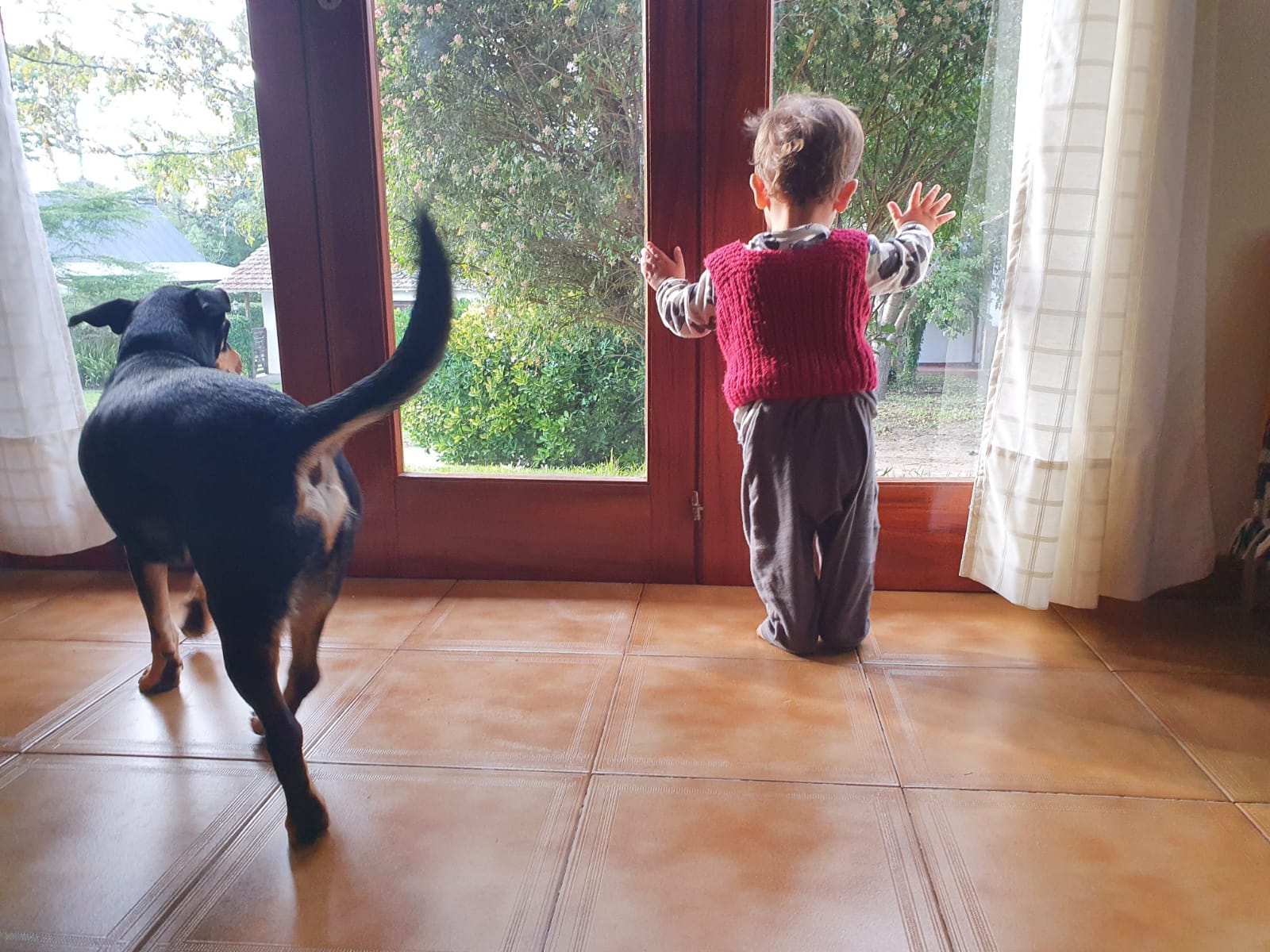 Un perro y un niño miran por la ventana en una casa de Villa Gesell. CELINA CAPPELLO