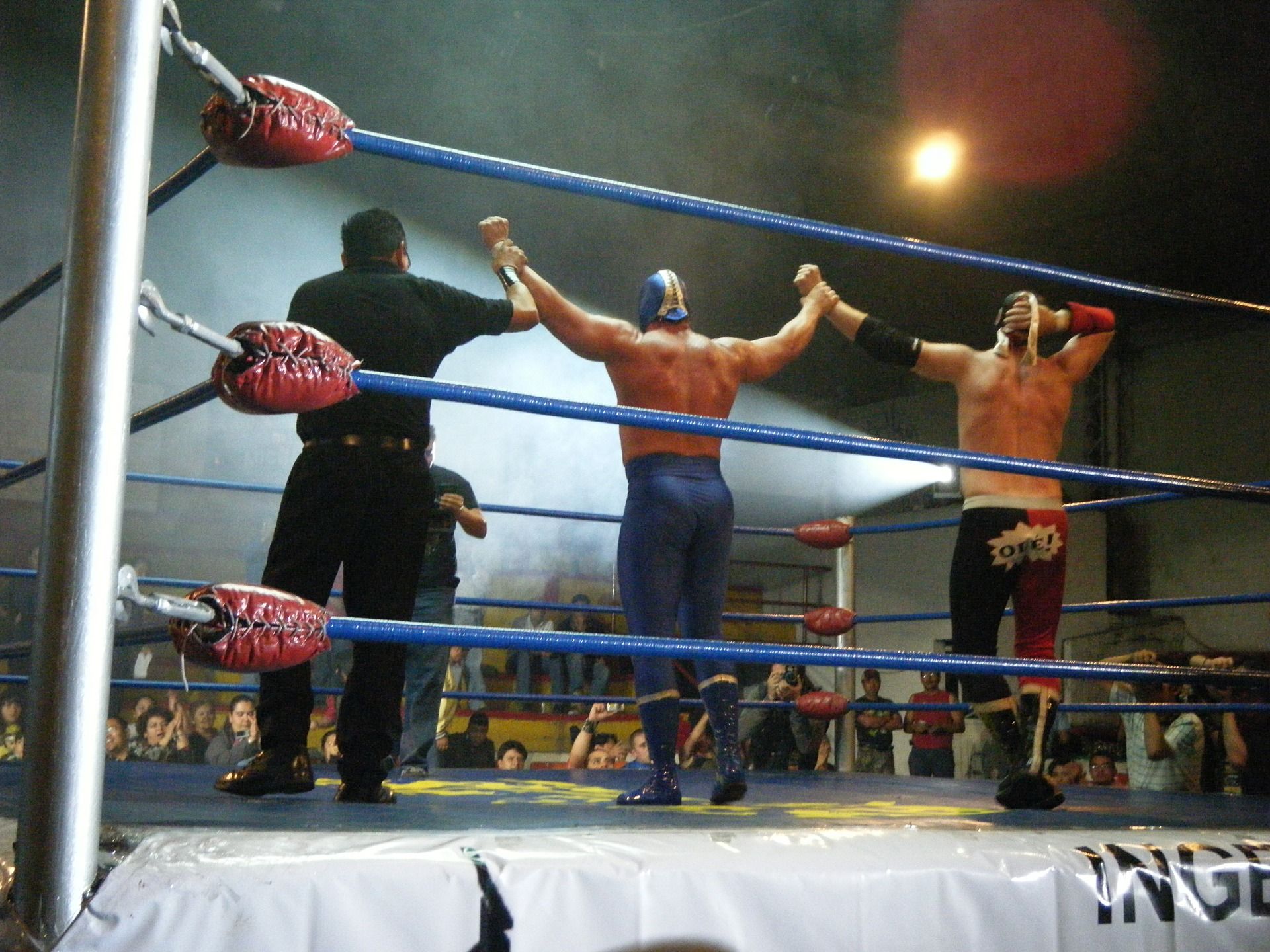Final de un combate de lucha libre mexicana. PIXABAY/SINIKOLPOS