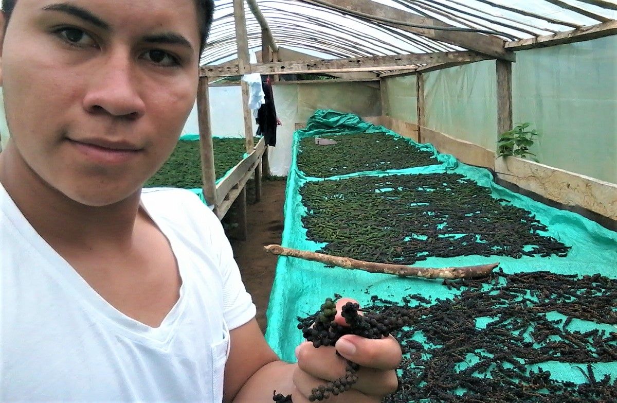 Neyder, mostrando granos de pimienta cultivados por las familias de Valle del Guamez. CORTESÍA