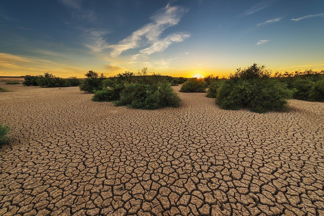 Fenómenos del cambio climático como las sequías prolongadas provocan migraciones masivas en Latinoamérica. PIXABAY/JOSÉ ANTONIO ALBA