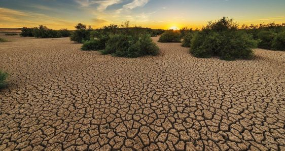 Fenómenos del cambio climático como las sequías prolongadas provocan migraciones masivas en Latinoamérica. PIXABAY/JOSÉ ANTONIO ALBA