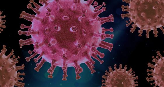 El virus de la covid-19 ha dejado 2,3 millones de víctimas en América. PIXABAY/PRIO4D