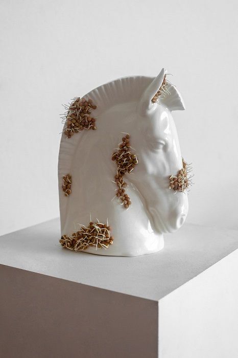 'Posthuman Growth', escultura efímera de Nicole Vindel con semillas. CORTESÍA