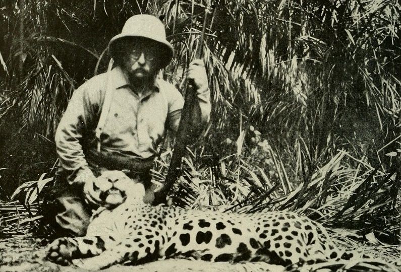 El presidente estadounidense Theodore Roosevelt, con un jaguar, en Brasil, en 1913. MUSEO AMERICANO DE HISTORIA NATURAL