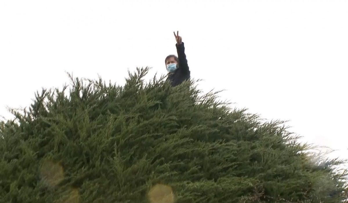 Gabriel Boric, subido al icónico árbol de su campaña en Punta Arenas, el 18 de julio de 2021. T13