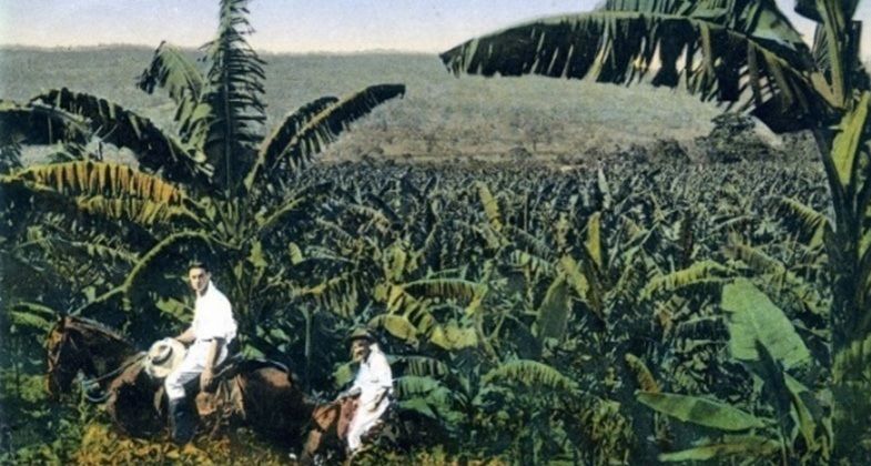 Postal de una plantación bananera en Costa Rica. ARCHIVO ENRIQUE CAMACHO NAVARRO