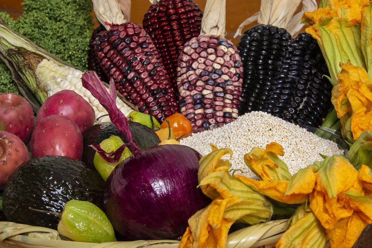Alimentos típicos mexicanos como las mazorcas, tunas, aguacates, y flores de calabaza son aptos para personas con limitaciones dietéticas. ARCHIVO Alimentos típicos mexicanos como las mazorcas, tunas, aguacates, y flores de calabaza son aptos para personas con limitaciones dietéticas. ARCHIVO