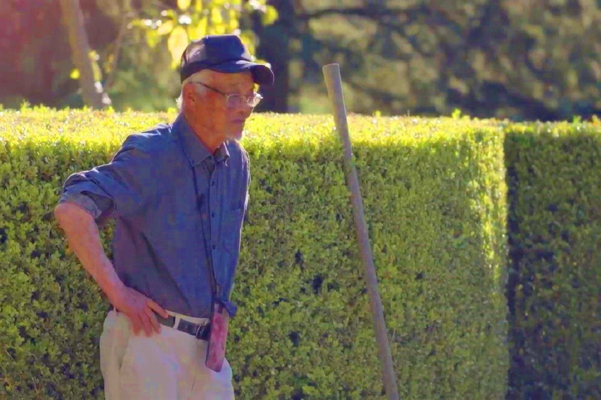 El paisajista japonés Yasuo Inomata, en una escena del documental 'Inomata y el jardín'. BOSQUE CINE/JOAQUIN NEIRA