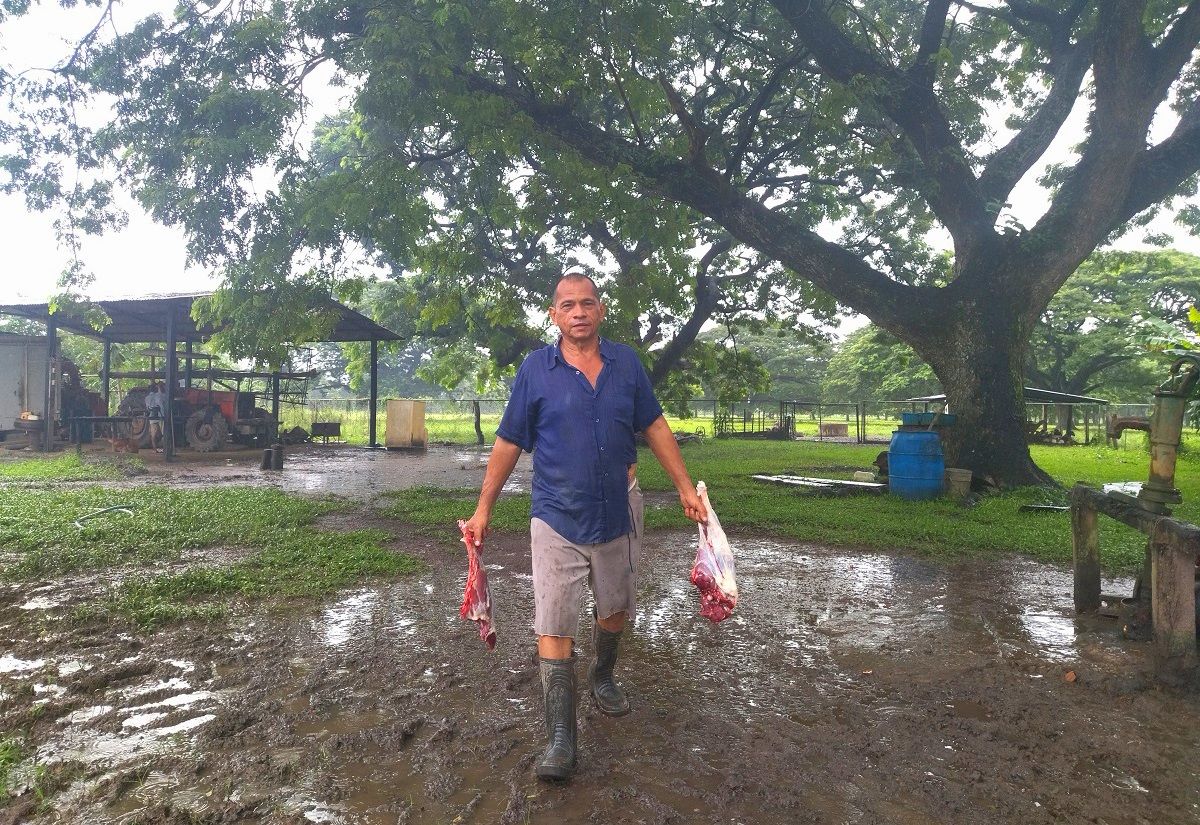 Un hombre lleva trozos de carne en una finca de San Fernando de Apure. JUAN BRICEÑO