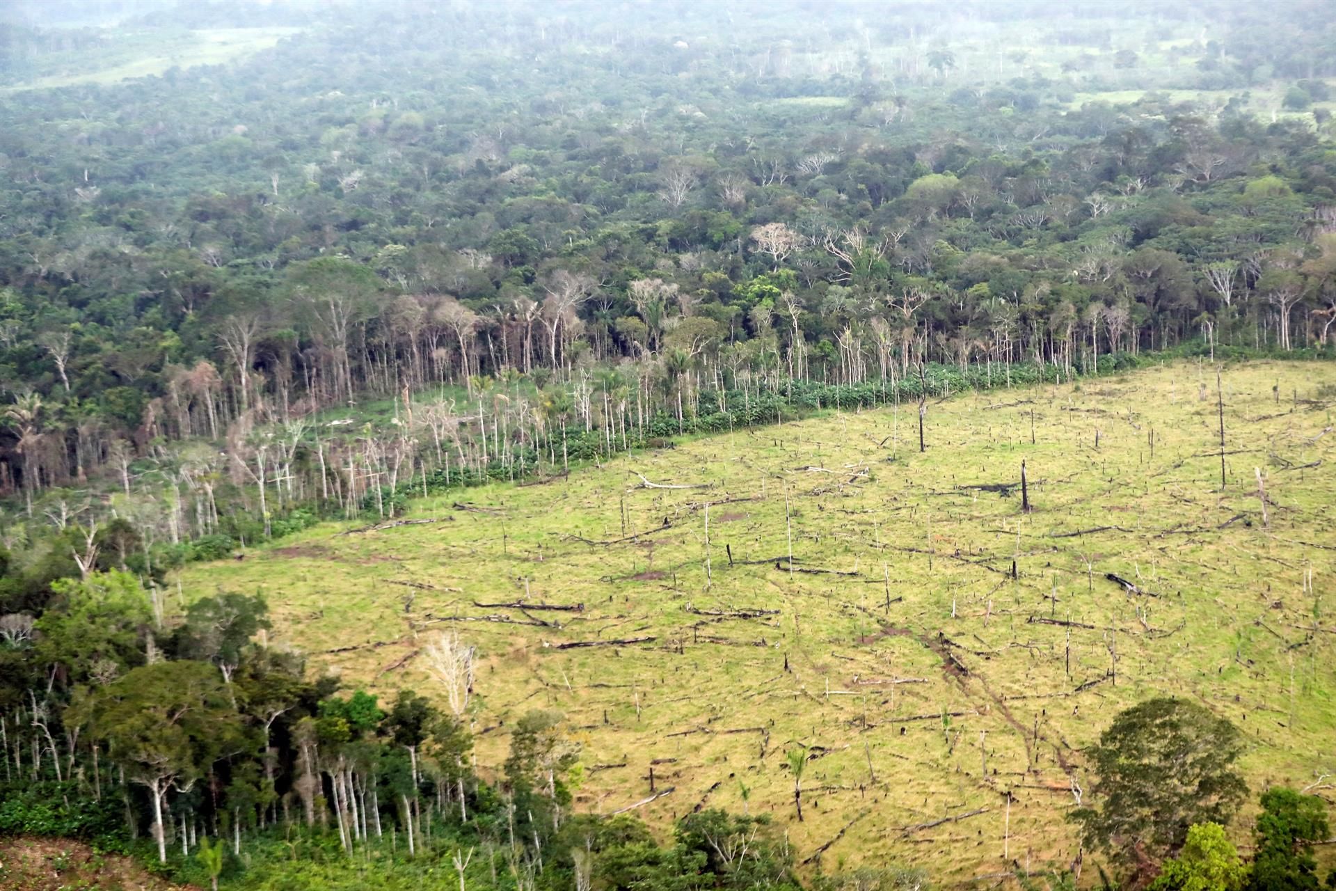 Zona afectada por la deforestación en una región rural de Nueva Colombia. EFE/MAURICIO DUEÑAS CASTAÑEDA
