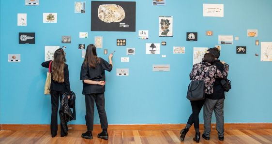 La obra '(i)lógicas de especimen', de Rodrigo Arteaga, incluida en la exposición de arte latinoamericano 'Nunca lo mismo'. ARCO