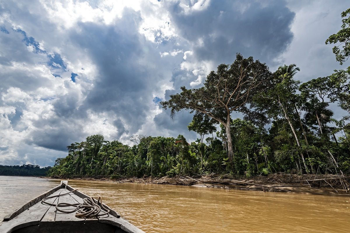 El río Las Piedras, en Perú, donde se encuentran los bosques de shihuahuaco. MICHAEL TWEDDLE El río Las Piedras, en Perú, donde se encuentran los bosques de shihuahuaco. MICHAEL TWEDDLE