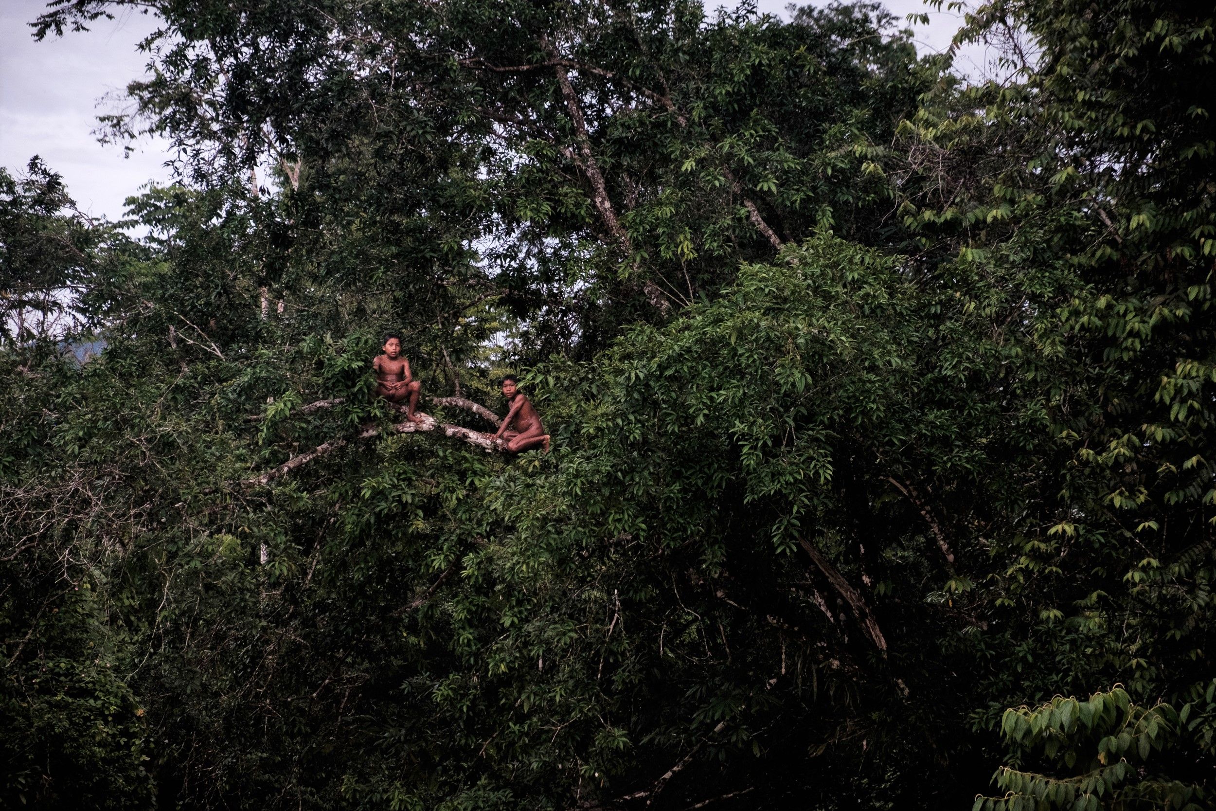 Dos niños del pueblo awajún, radicado en la selva amazónica peruana, un lugar amenazado por el ecocidio americano. PABLO MIRANZO