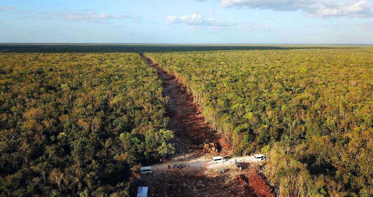 Obras del Tren Maya en una zona de selva en la península del Yucatán, en México. EFE/LOURDES CRUZ