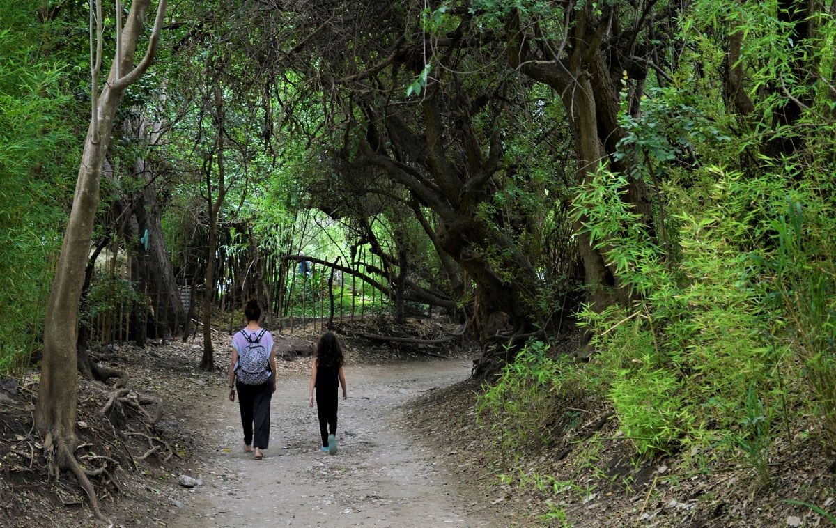 Una mujer y su hija pasean por uno de los senderos o 'túneles vegetales' de San Marcos Sierras, en Argentina. ÓSCAR BERMEO