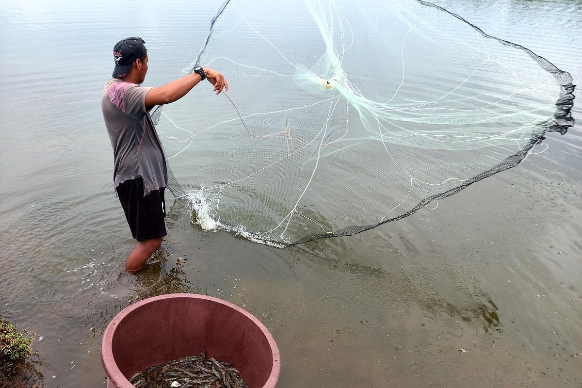 Un hombre lanza su red al río para pescar camarón en el Bajo Lempa, en El Salvador. LUIS BRUZÓN DELGADO