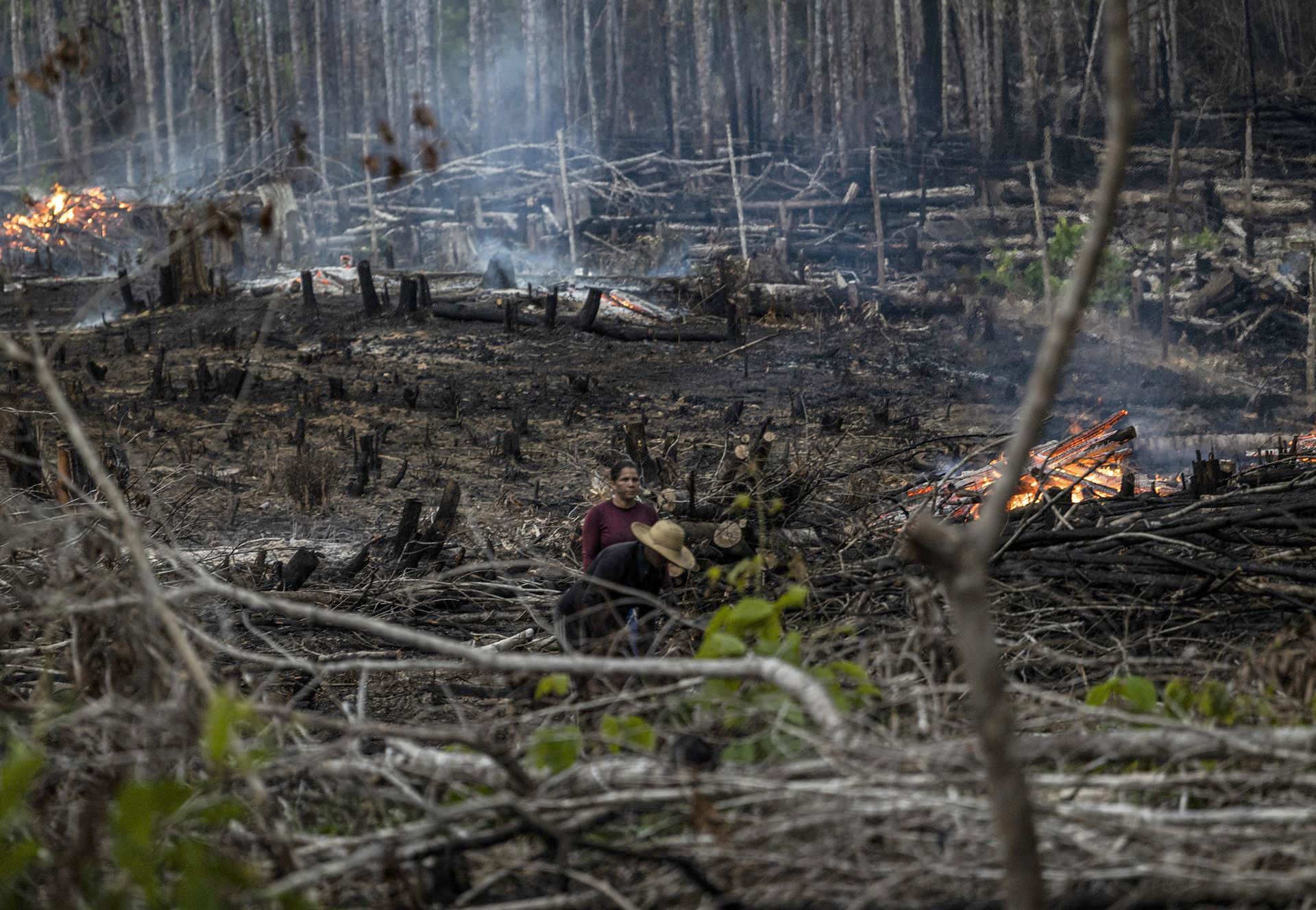 Personas prenden fuego en un bosque en Careiro Castanho, en el Amazonas, Brasil. EFE/RAPHAEL ALVES