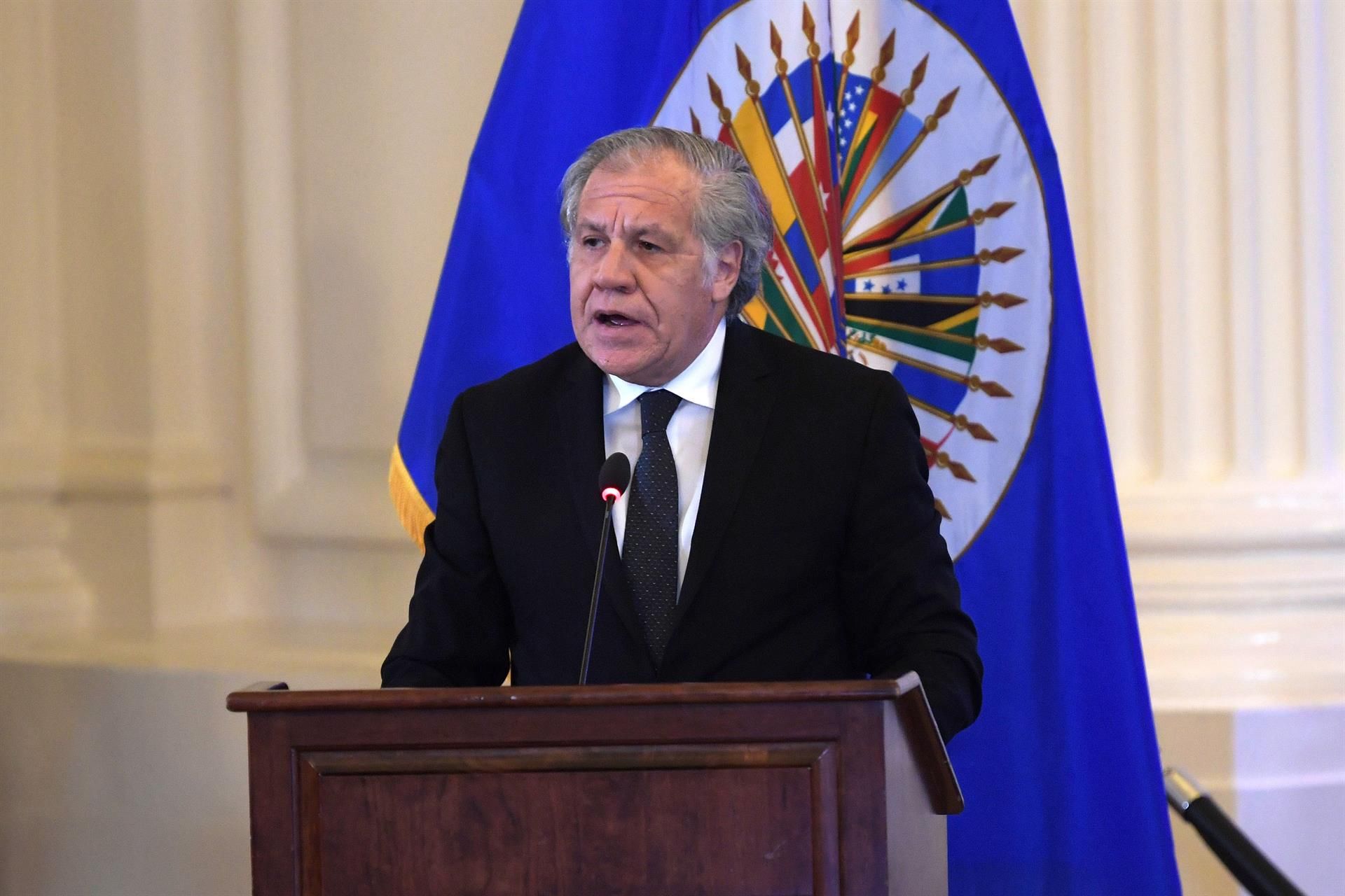 El secretario general de la Organización de Estados Americanos (OEA), el uruguayo Luis Almagro. EFE/LENIN NOLLY
