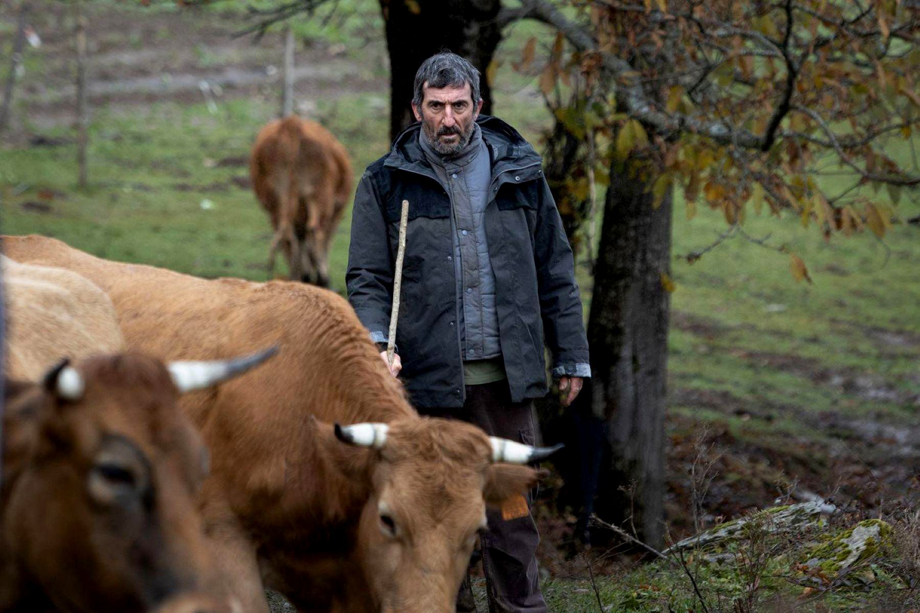 El actor Luis Zaheras, en la película 'As bestas', dirigida por Rodrigo Sorogoyen y coescrita por Isabel Peña. A CONTRACORRIENTE FILMS El actor Luis Zaheras, en la película 'As bestas', dirigida por Rodrigo Sorogoyen y coescrita por Isabel Peña. A CONTRACORRIENTE FILMS