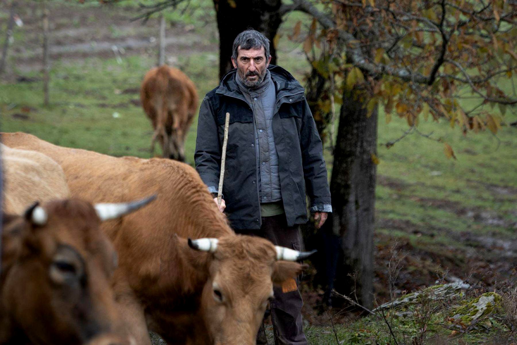 El actor Luis Zaheras, en la película 'As bestas', dirigida por Rodrigo Sorogoyen y coescrita por Isabel Peña. A CONTRACORRIENTE FILMS