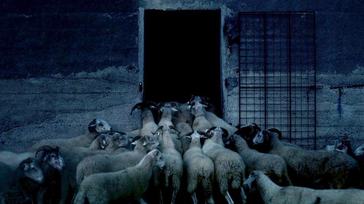 Fotograma de 'Bosco', la película documental dirigida por Alicia Cano. MUTANTE CINE Fotograma de 'Bosco', la película documental dirigida por Alicia Cano. MUTANTE CINE