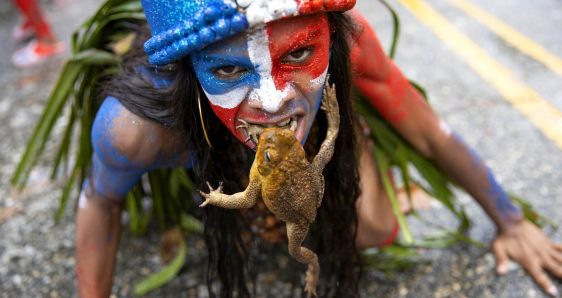 Un hombre muerde un sapo durante el desfile de Carnaval en Santo Domingo, República Dominicana, el 6 de marzo de 2022. EFE/ORLANDO BARRÍA