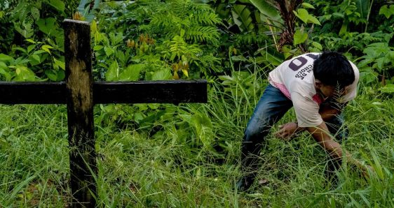 Wilfran Apicay, integrante de la comunidad indígena emberá dobida, limpia la tumba de su hermana Liberia, en Salinas, Colombia. MARIO TORO QUINTERO