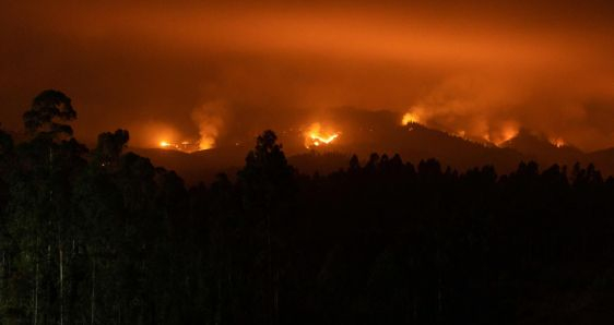 Incendios en el alto de Menque, en la comuna de Tomé, Chile, este domingo. EFE/ESTEBAN PAREDES DRAKE