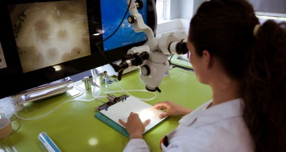 El programa CaixaImpulse Innovación promueve la traslación de la investigación de laboratorio a la sociedad. FUNDACIÓN ”LA CAIXA”