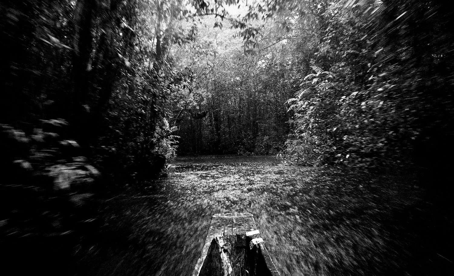 Fotografía de una canoa adentrándose en la selva amazónica venezolana. HÉCTOR PADULA