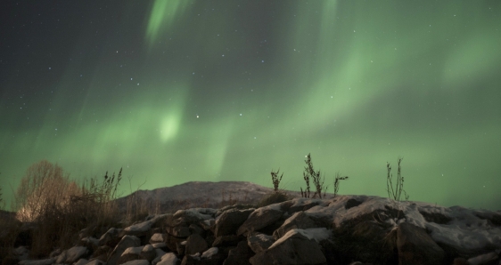 Aurora boreal en Tromsø, Noruega, en la película 'Errante', de Adriana Lestido. CORTESÍA