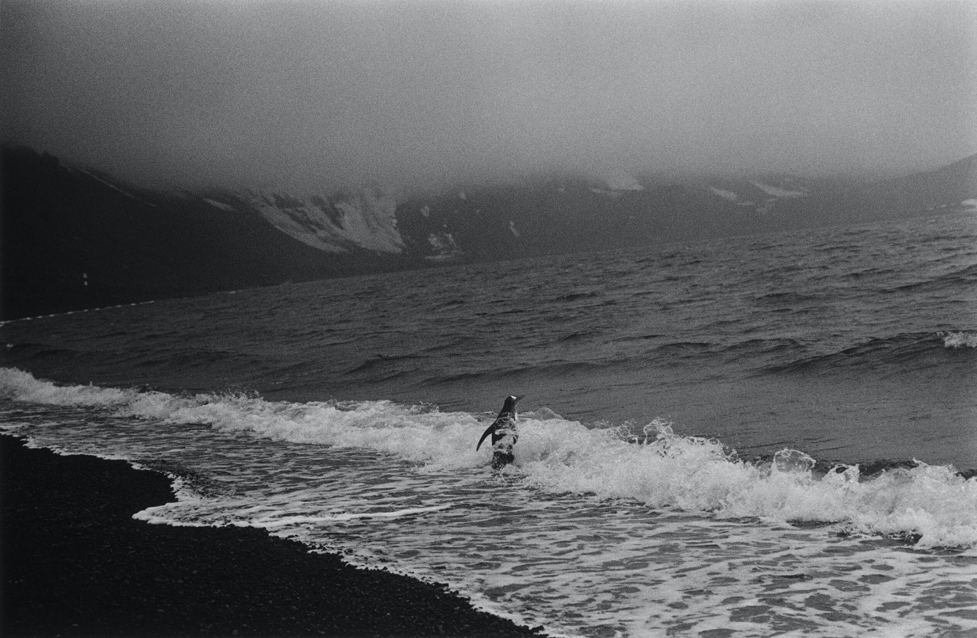 Fotografía de la serie 'Antártida negra', de Adriana Lestido (2012). CORTESÍA