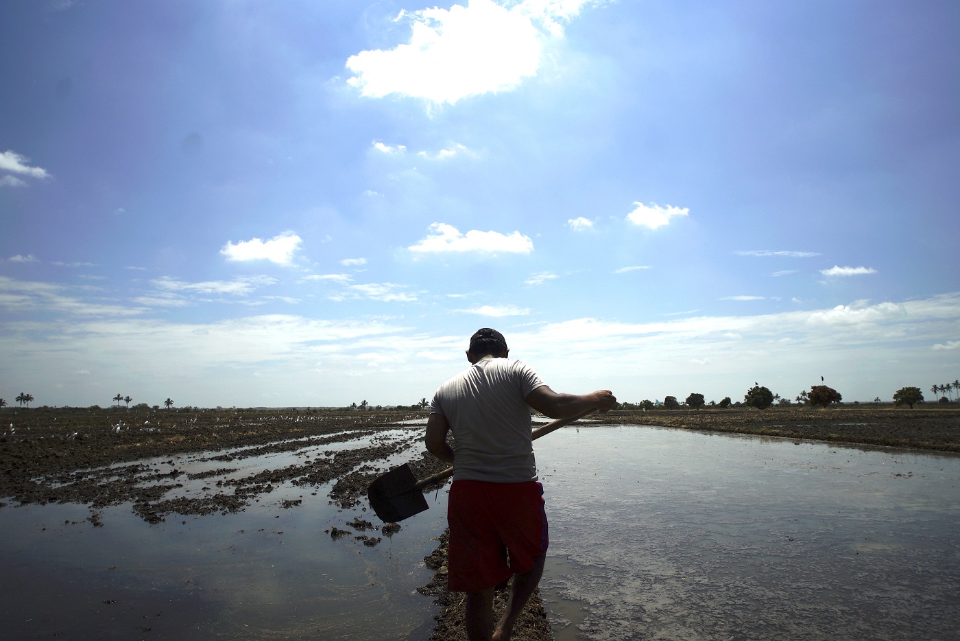 Fotograma del documental 'La revolución y la tierra', dirigido por Gonzalo Benavente Secco. AUTOCINE