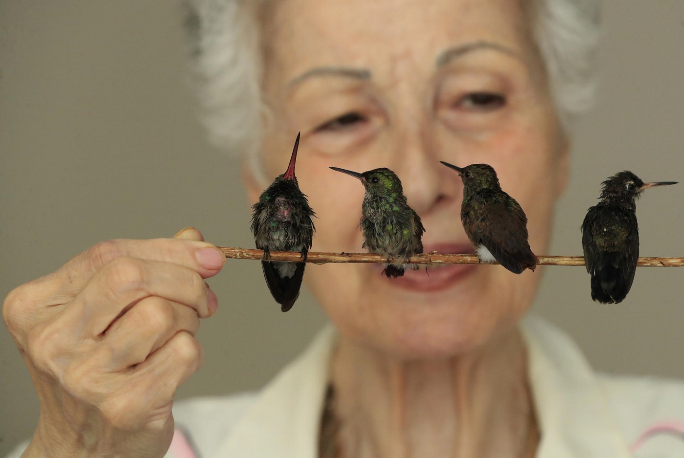 La guardiana de los colibríes, Catia Lattouf, en Ciudad de México, el pasado 28 de junio. EFE/MARIO GUZMÁN