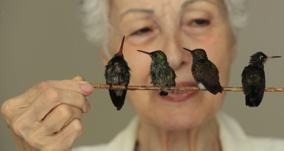 La guardiana de los colibríes, Catia Lattouf, en Ciudad de México, el pasado 28 de junio. EFE/MARIO GUZMÁN