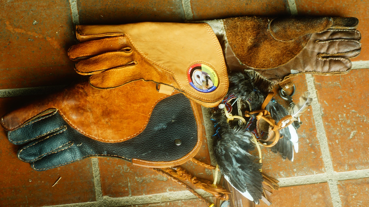 Guantes utilizados por Mario Brandi para la cetrería. DIEGO TORRES PANTIN