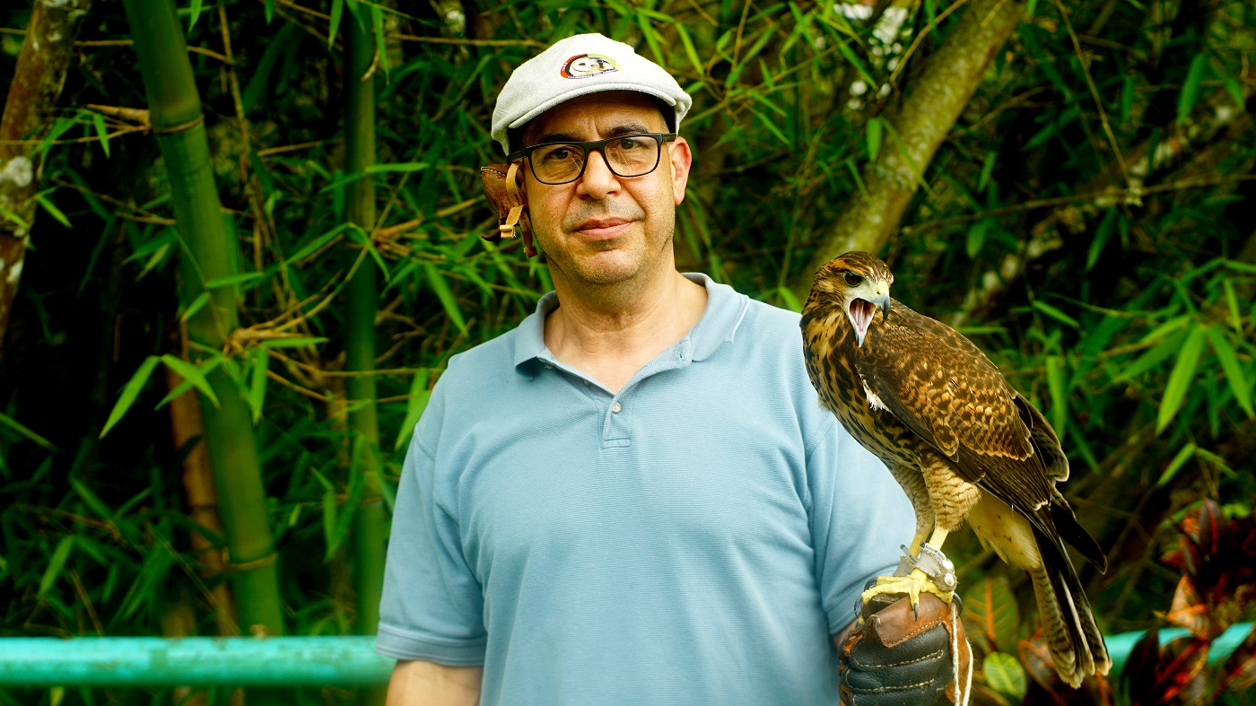 Mario Brandi, del proyecto de cetrería Garras del Aire, con su gavilán Sol, en Caracas. DIEGO TORRES PANTIN