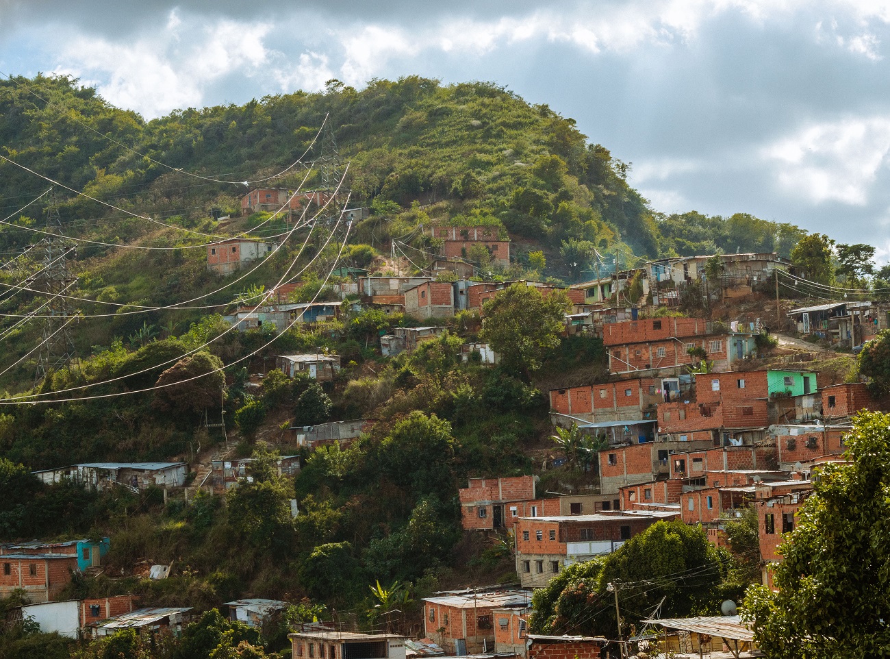 Casas en la Quinta, en la Cota 905, en Caracas. ROBERT FARIÑEZ